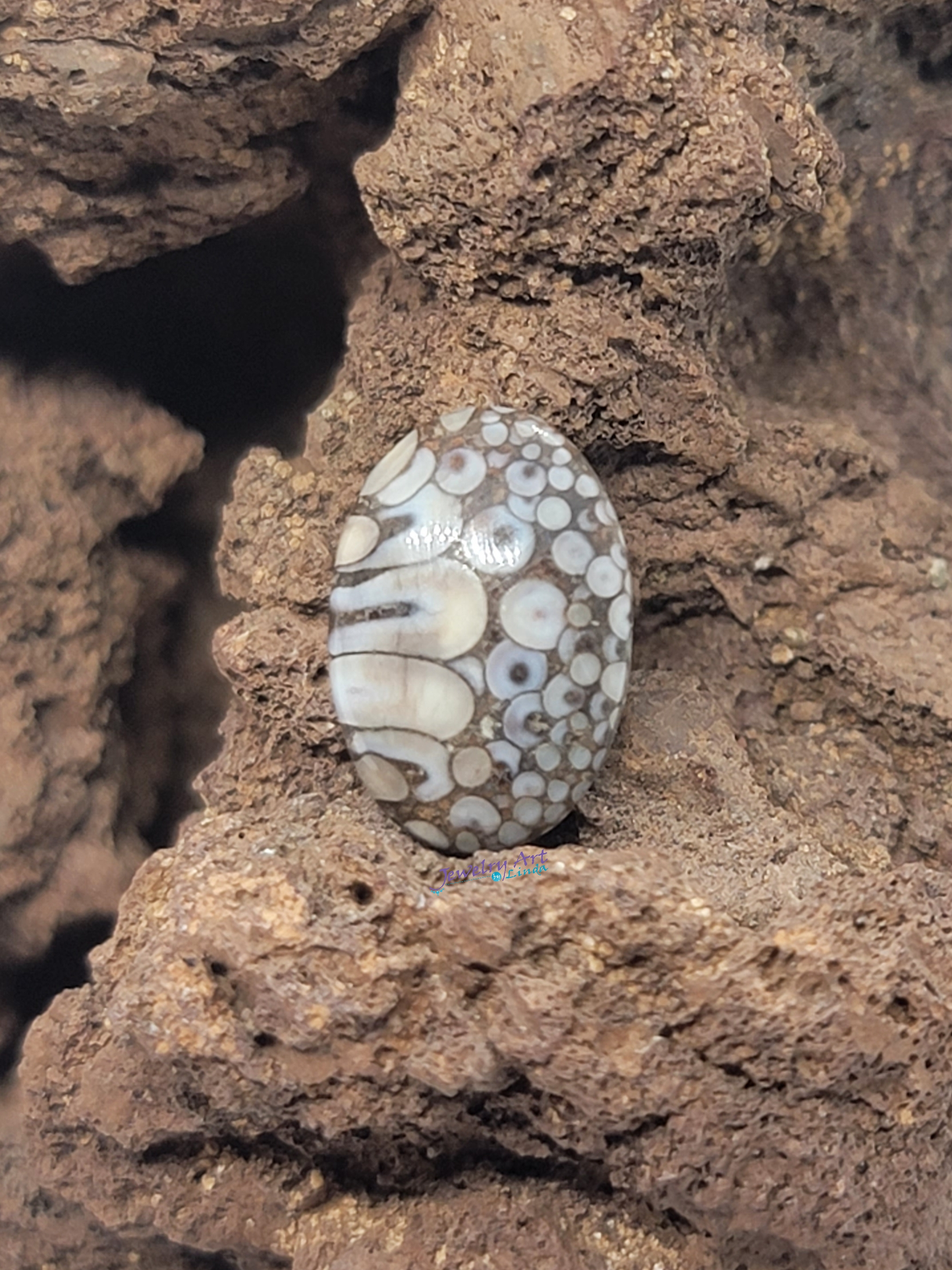 Petrified Palate of Ancient Wrasse Snakeskin FS-x-x-00085