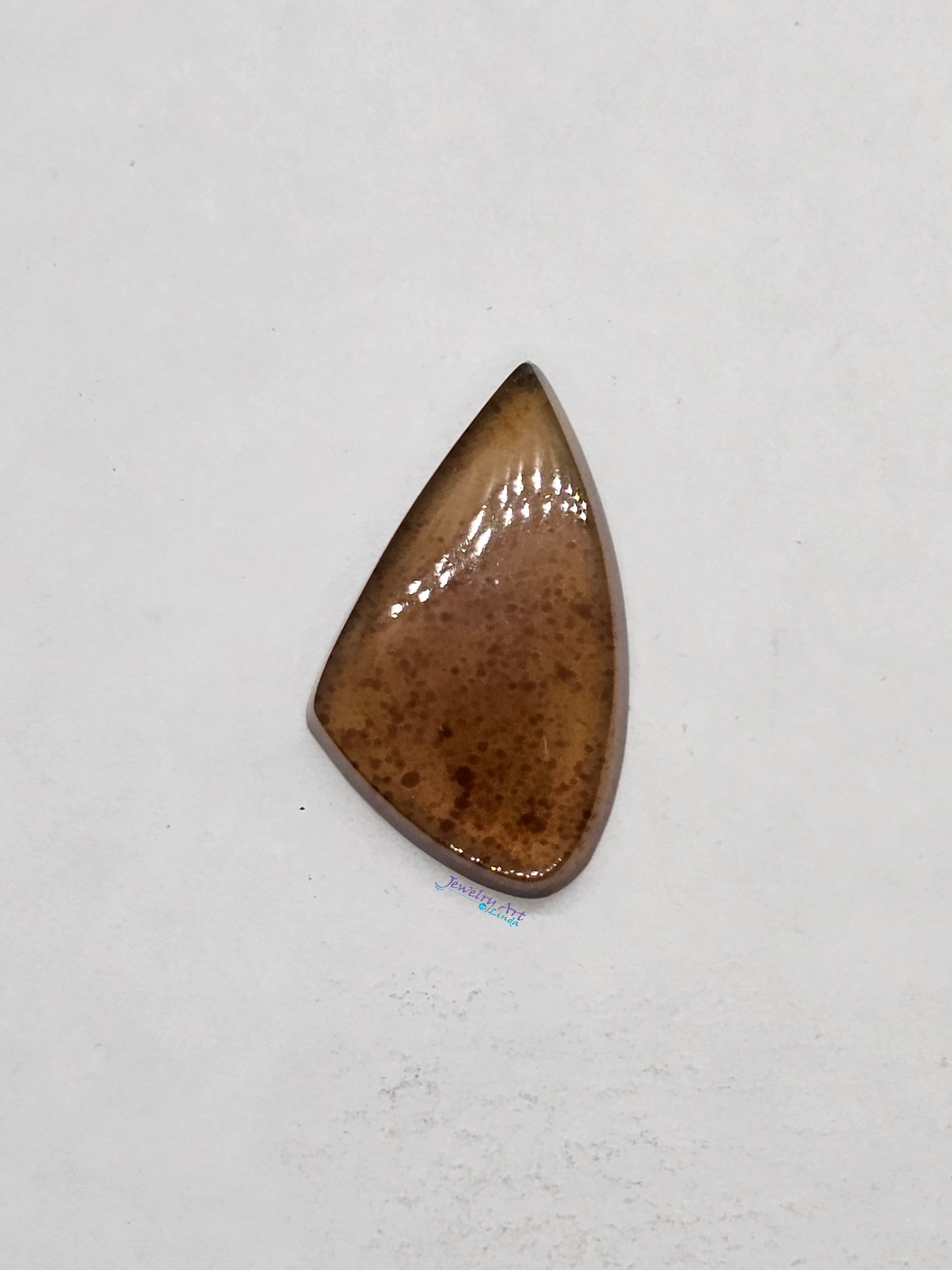 FS-x-x-00154