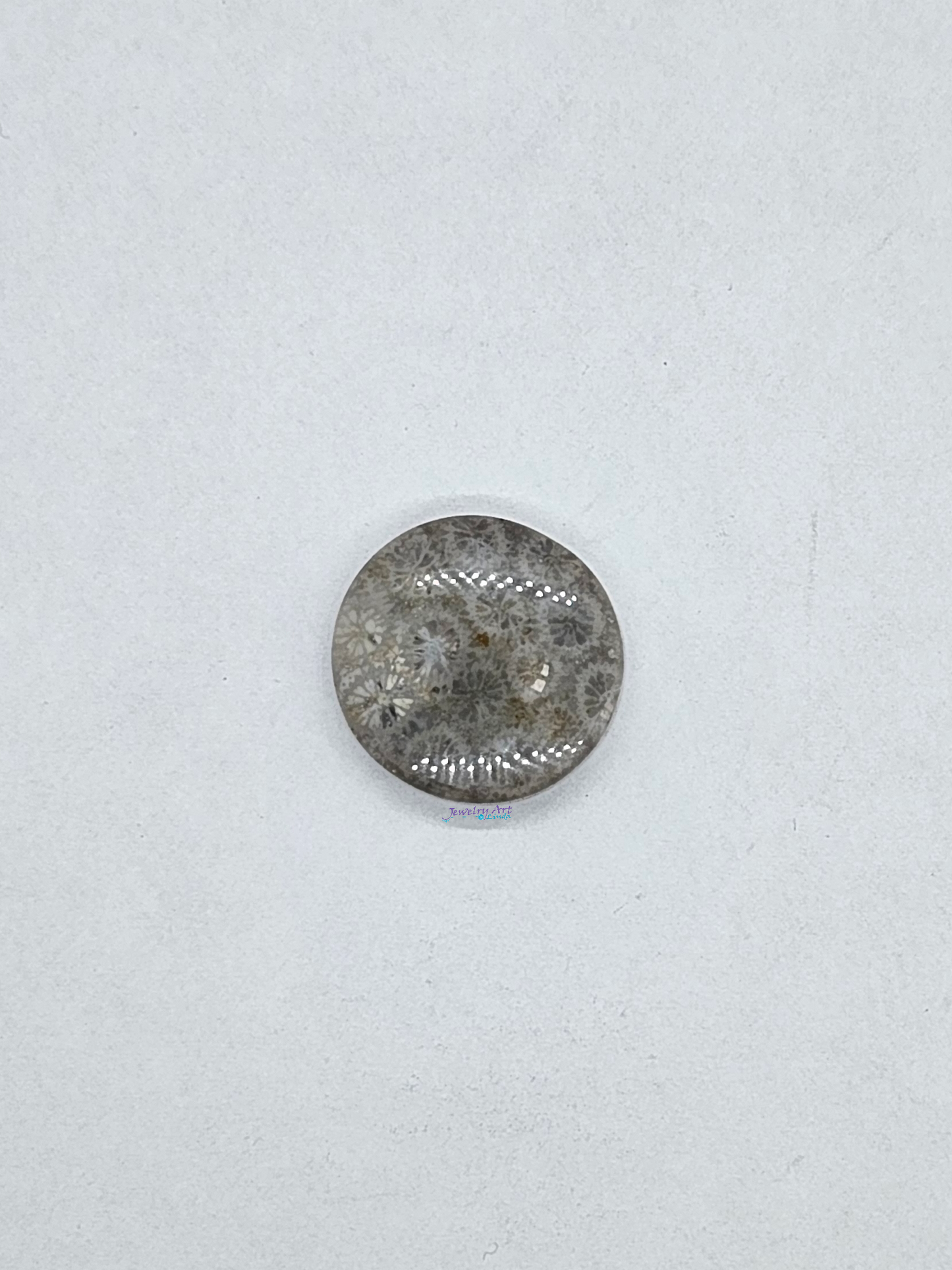 FS-x-x-00116
