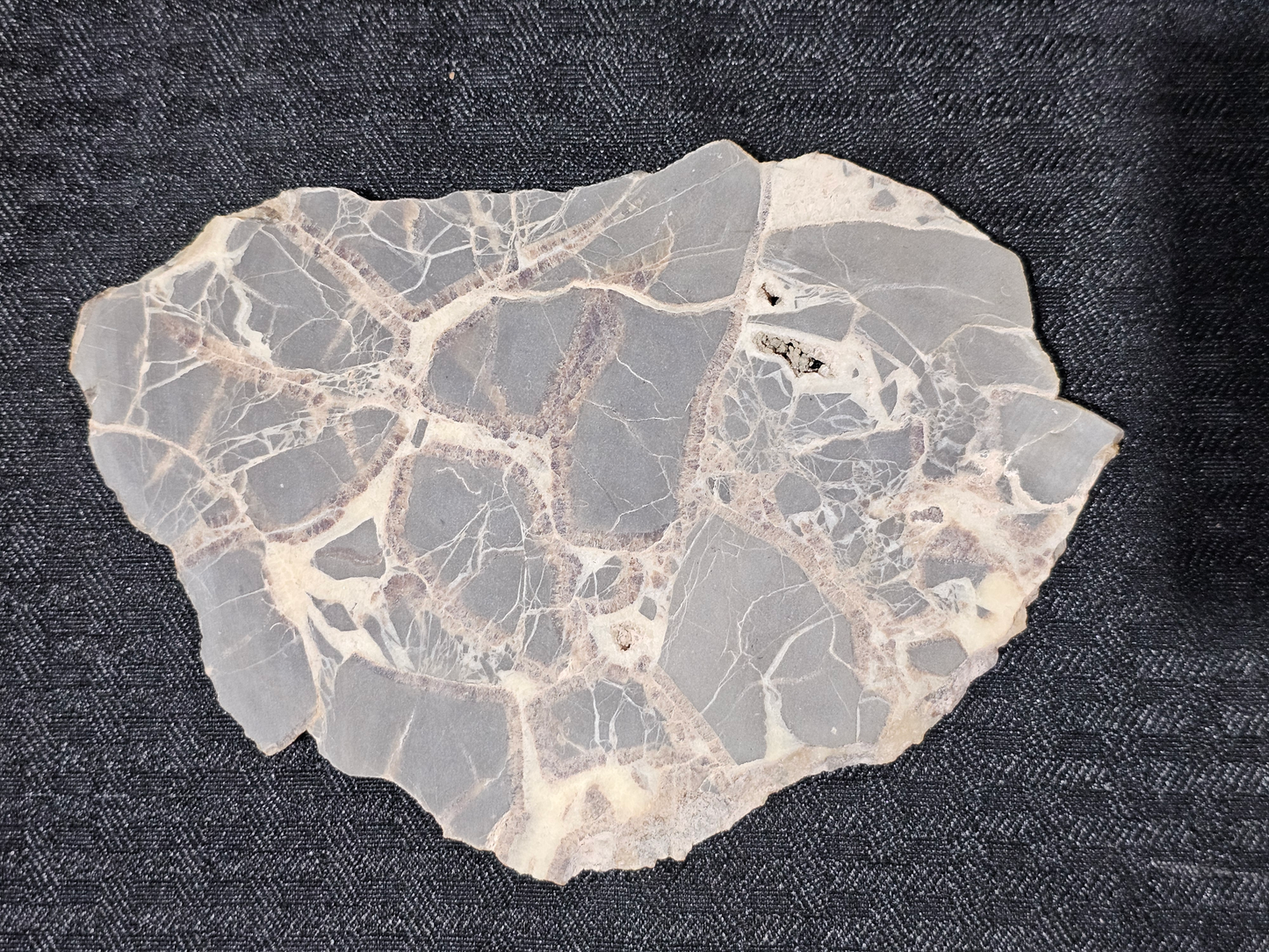 Septarian Nodule SN-x-00002