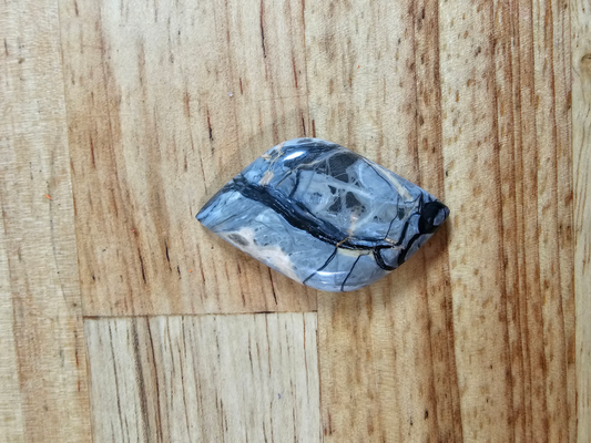 Pacific Coast Picasso OT-x-00204-04