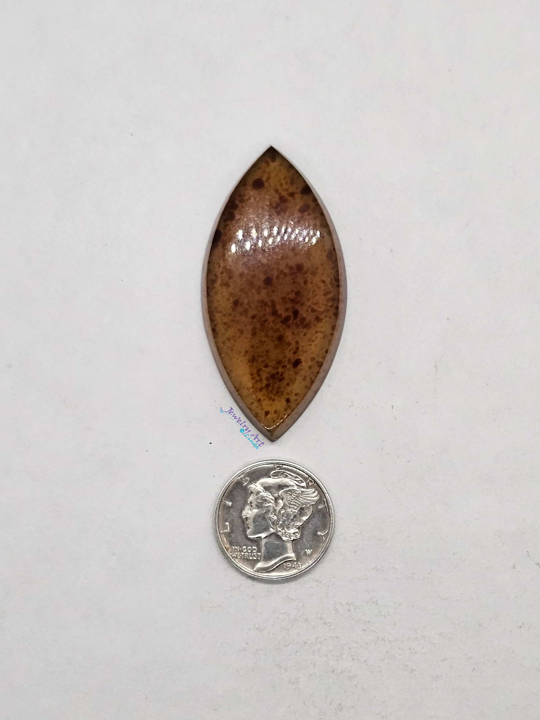 Baltic Amber FS-x-x-00153