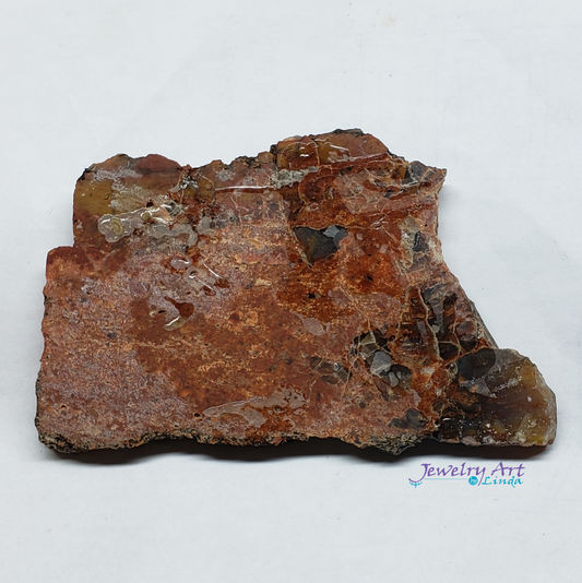 Petrified Wood PW-00003-02
