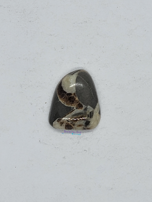 Septarian Nodule SN-x-00011-04
