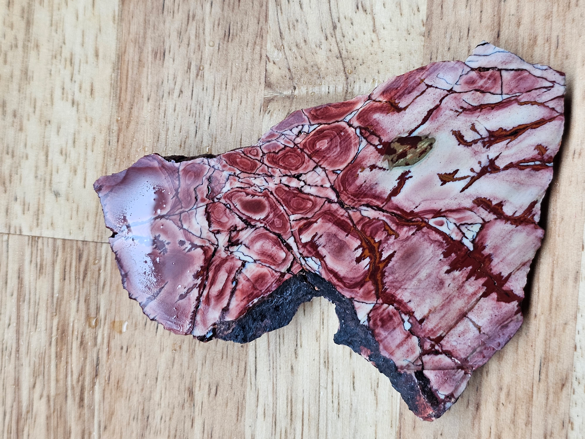 Dead Ringer Jasper JA-x-00144