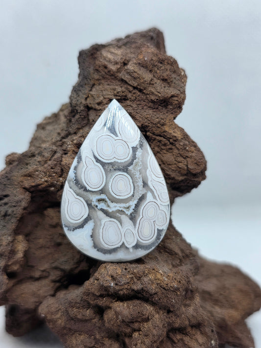 Orbic Agate - AG-x-x-00230