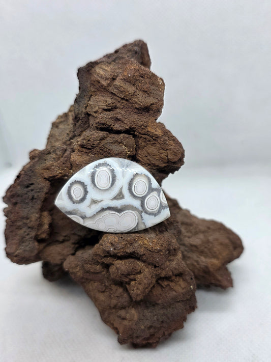 Orbic Agate - AG-x-x-00228