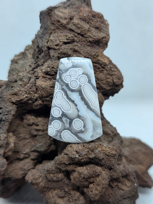 Orbic Agate - AG-x-x-00226