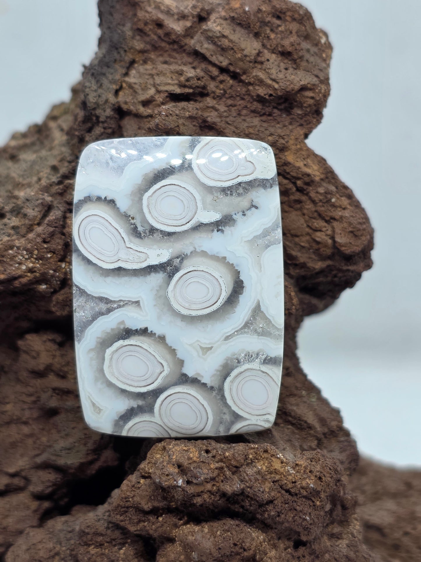 Orbic Agate - AG-x-x-00227