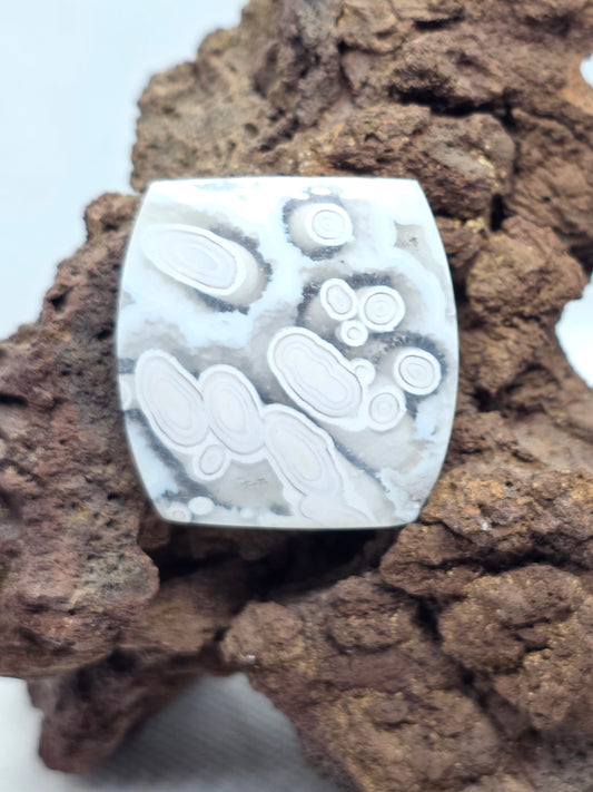 Orbic Agate - AG-x-x-00231