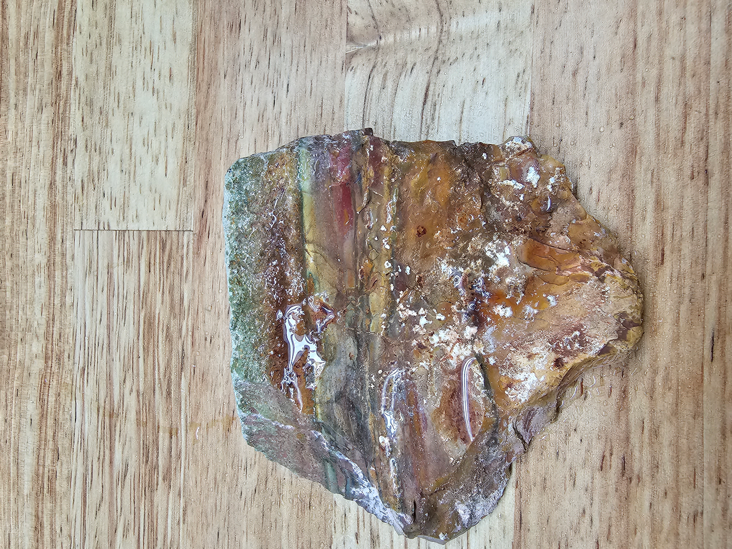 Crayola Jasper JA-x-00121