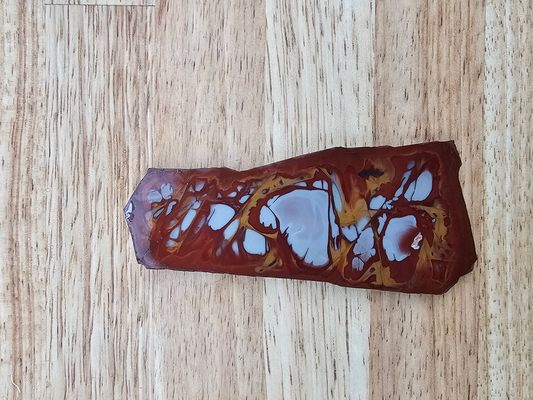 Noreena Jasper JA-x-00177