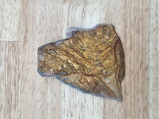 Owyhee Springs Mountain Picture Jasper JA-x-00158