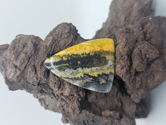 Bumble Bee Jasper JA-x-x-00141