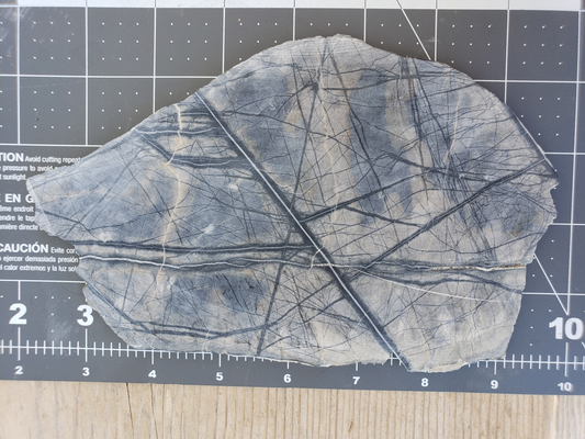 Picasso Marble PM-x-00004