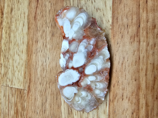 Kokweef Cave Onyx NX-x-00032