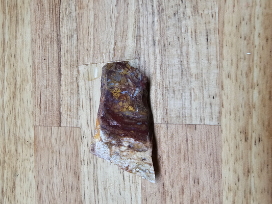 Indonesian Multi-colored Palm FS-x-00014B