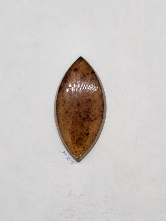Baltic Amber FS-x-x-00153