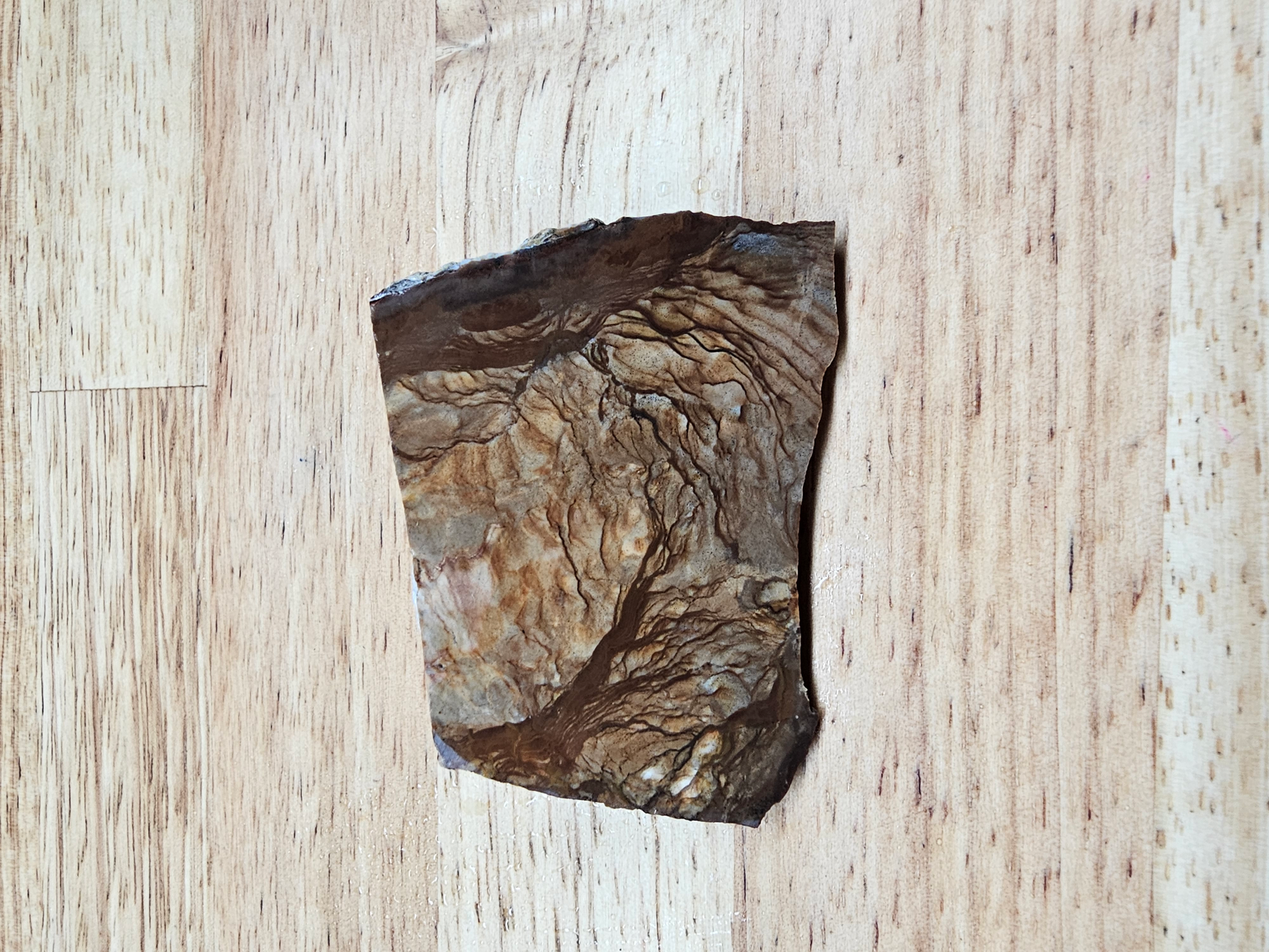 Jasper Biggs JA-x-00122