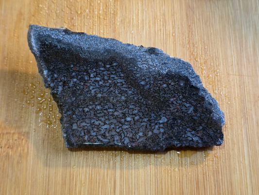 Dino Bone FS-x-00060