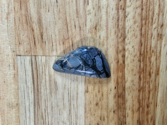 Pacific Coast Picasso OT-x-00204-05