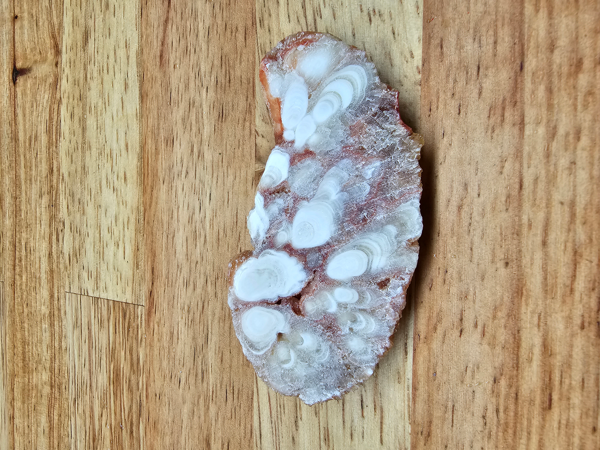 Kokweef Cave Onyx NX-x-00032