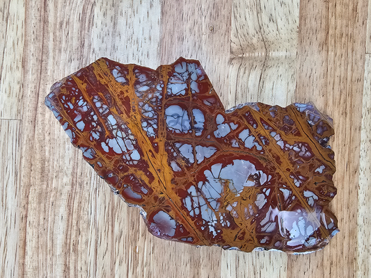 Noreena Jasper JA-x-00182B