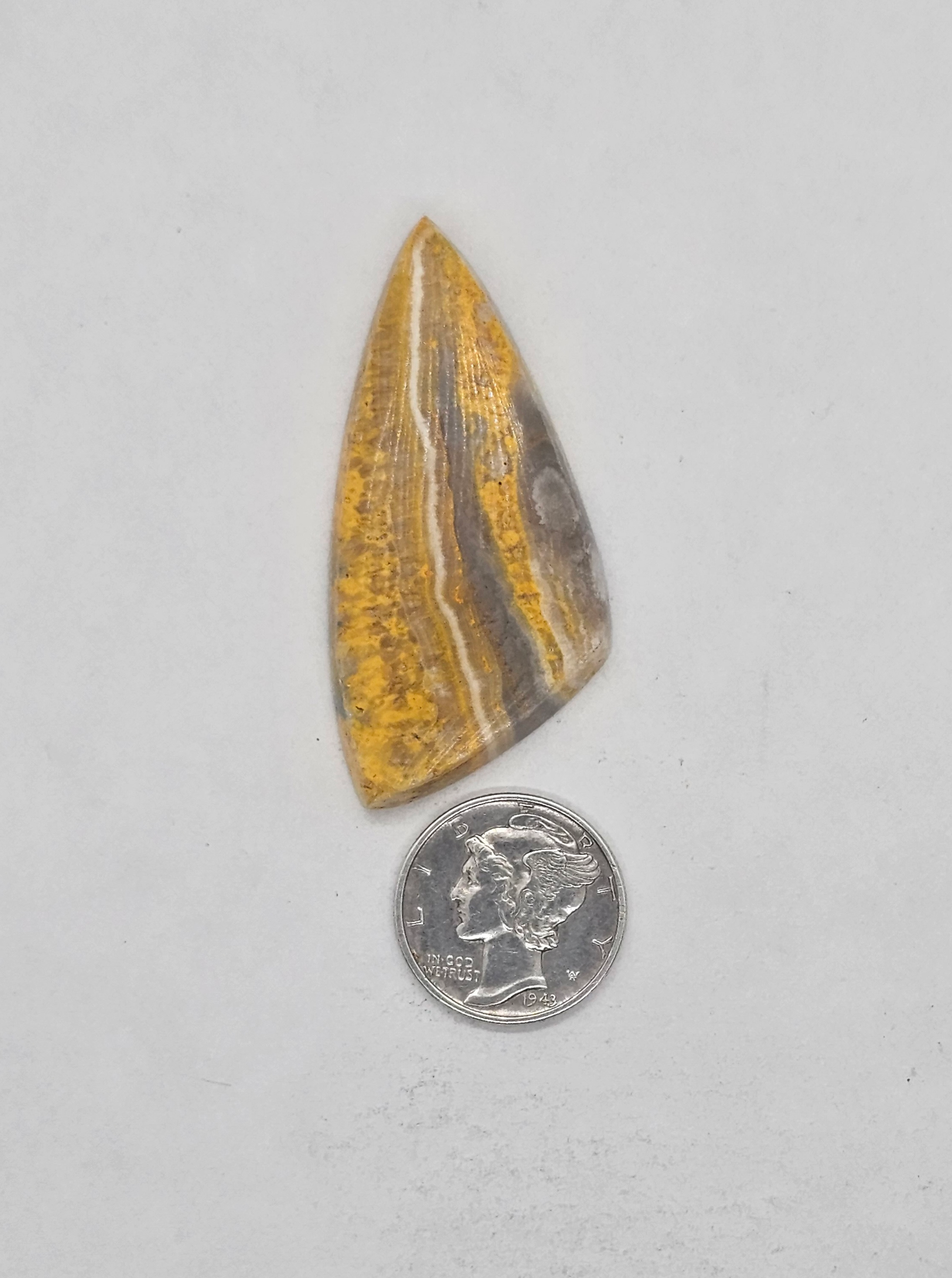 Bumble Bee Jasper JA-x-x-00140