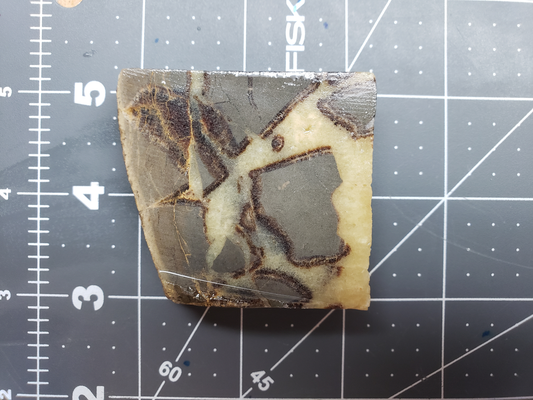 Septarian Nodule SN-x-00003