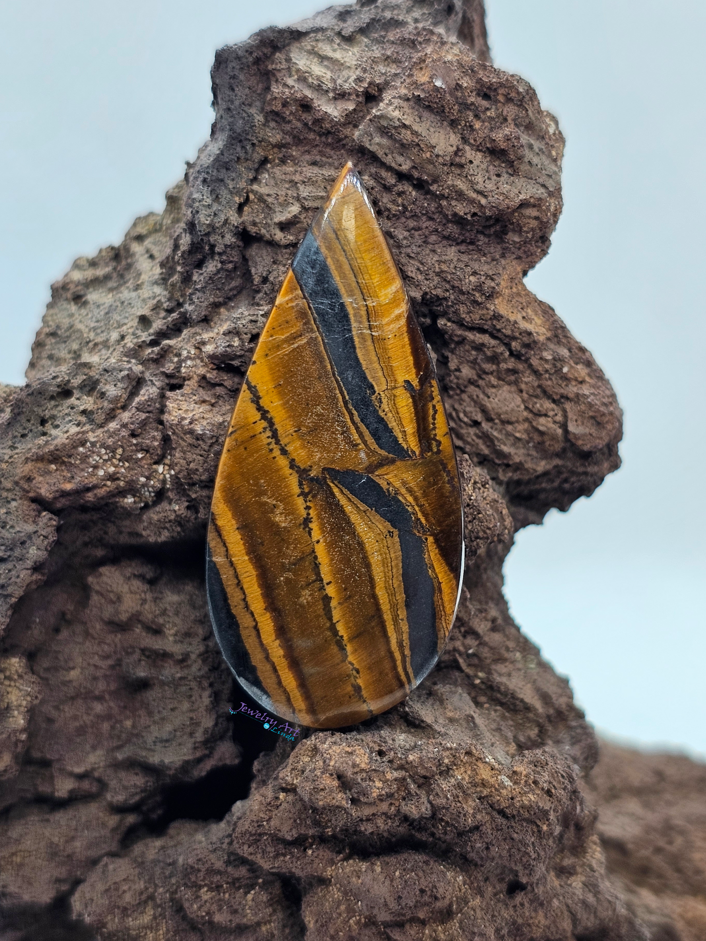 Tigers eye OT-x-x-00156