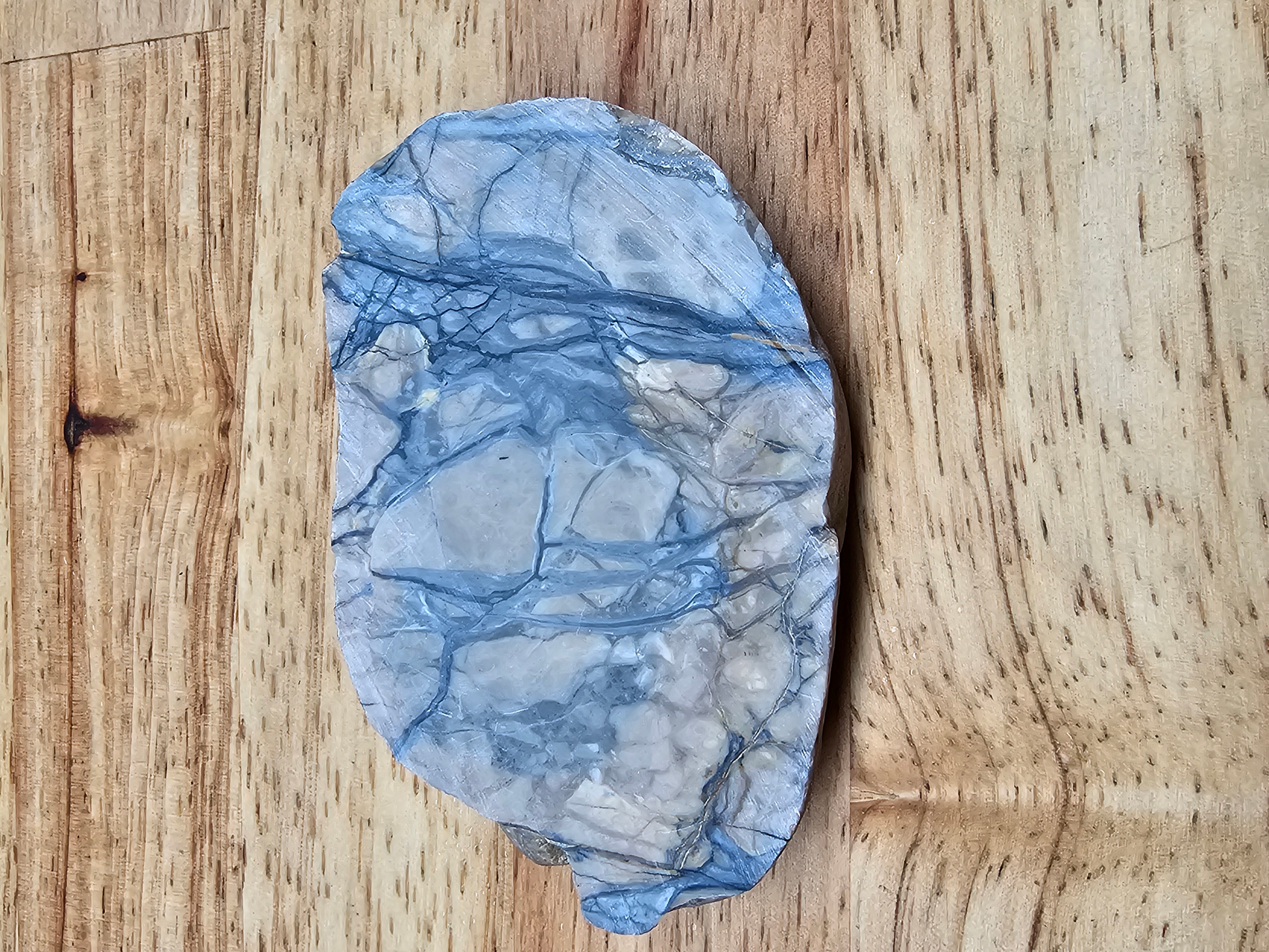 Pacific Coast Picasso OT-x-00280