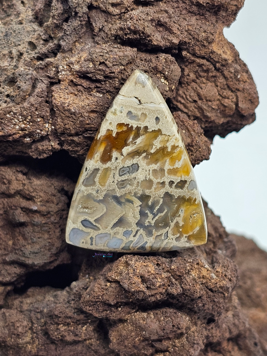 Palm Root FS-x-x-00159