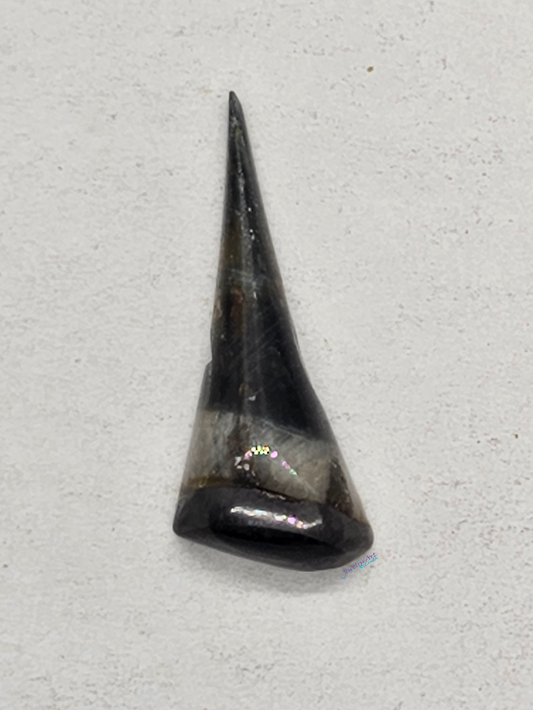 Blue Tigers Eye OT-x-00174-06