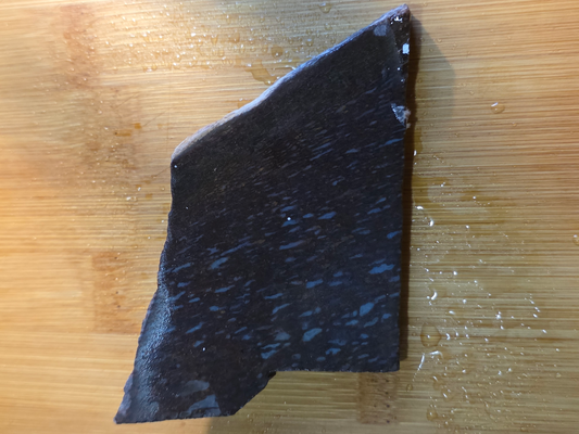 Dino Bone FS-x-00061