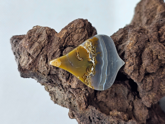 Timor Agate AG-x-x-00219