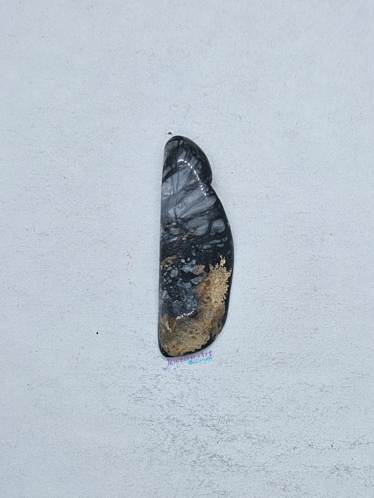 Pacific Coast Picasso OT-x-x-00128