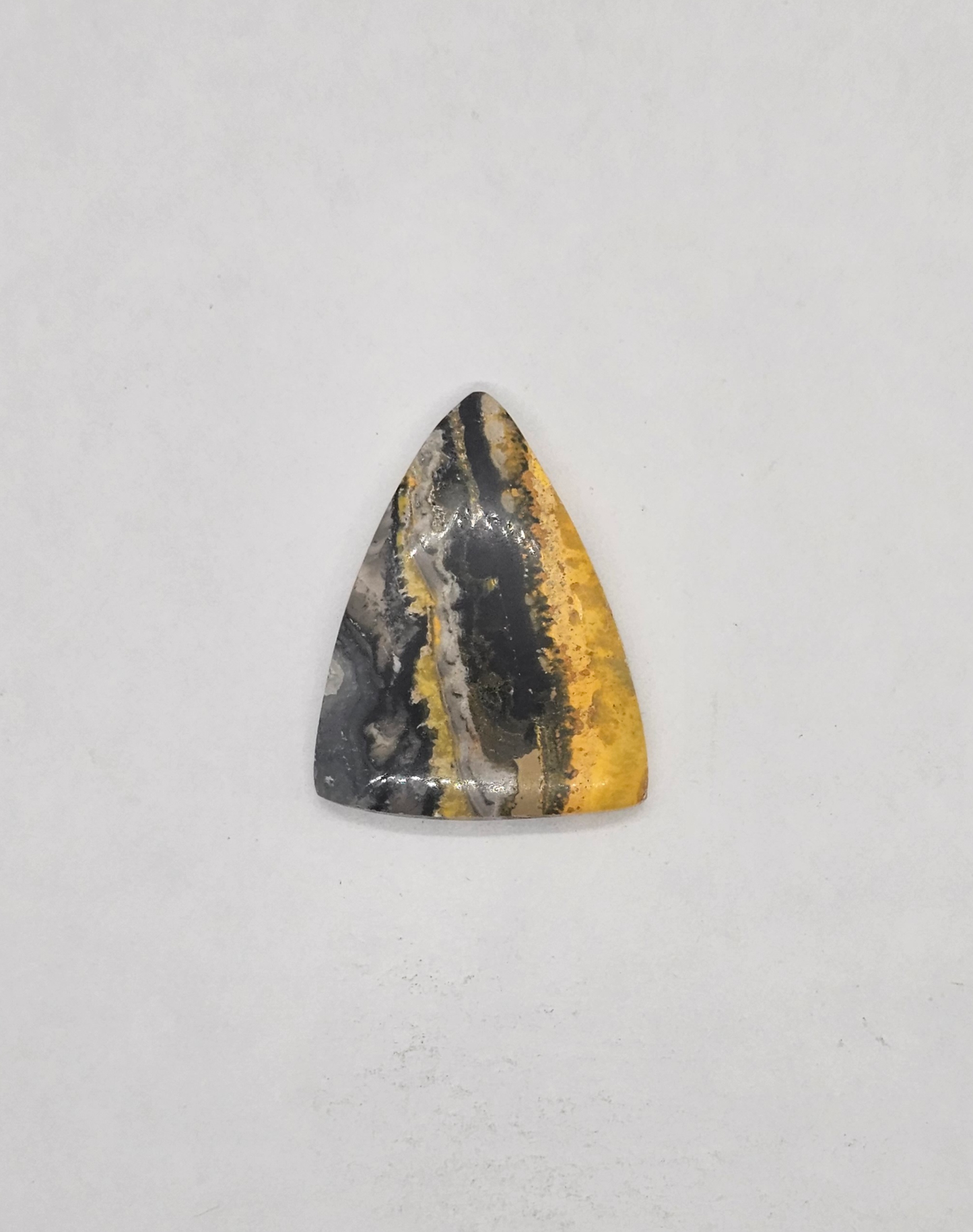 Bumble Bee Jasper JA-x-x-00141