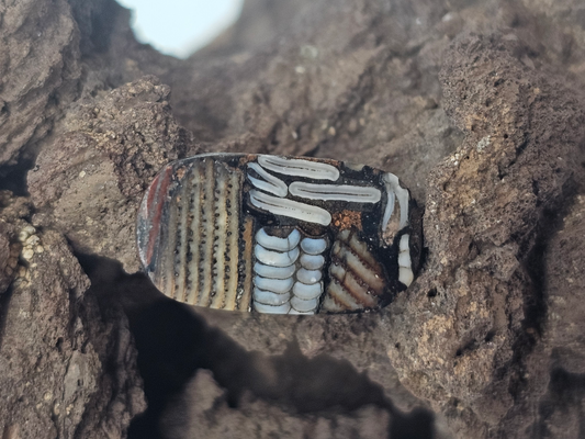 Biggs Picture Jasper Snakeskin FS-x-x-00134