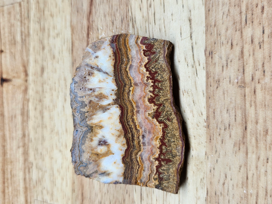 Autumn Laced Onyx NX-x-00051