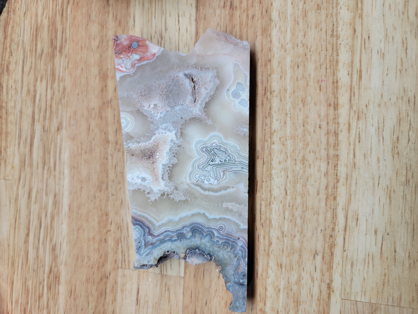 Crazy Lace Agate AG-x-00089