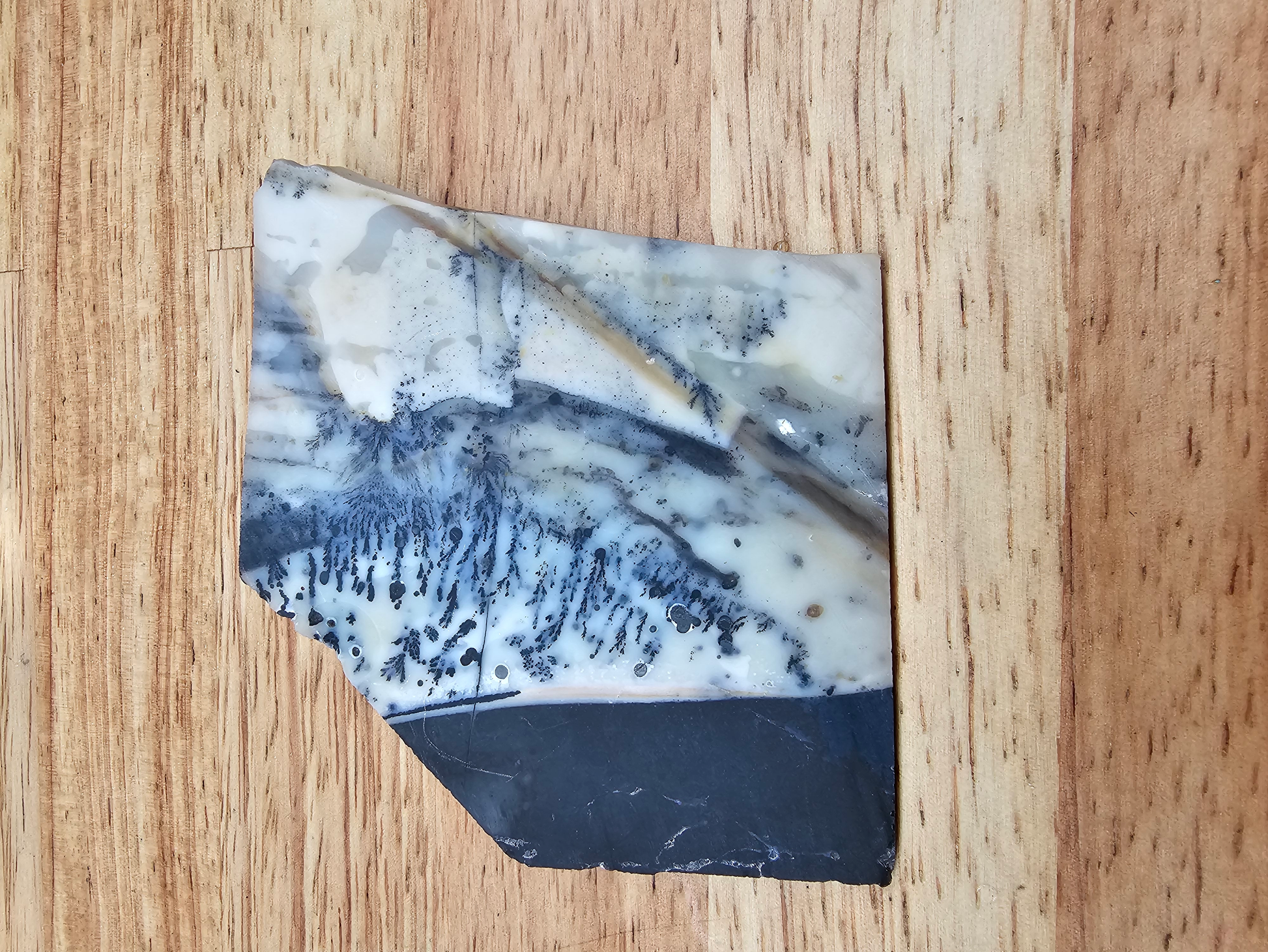 Mexican Parrarel Dendritic Agate AG-x-00136