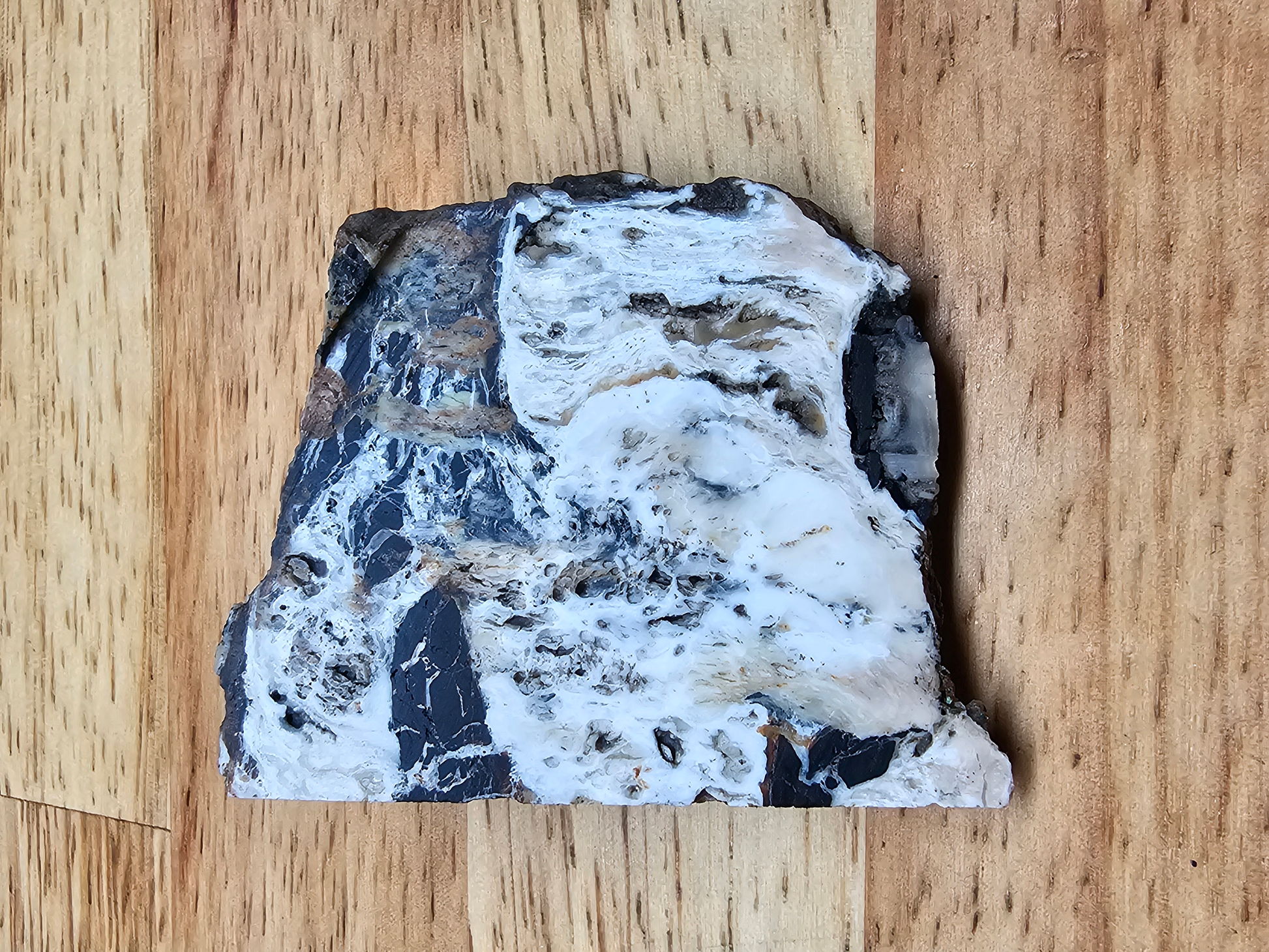 White Buffalo OT-x-00269