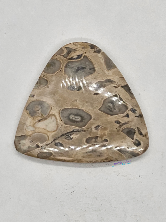 Palm Root FS-x-x-00160