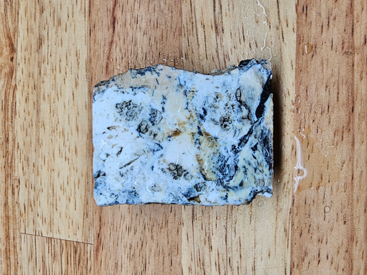 White Buffalo OT-x-00271