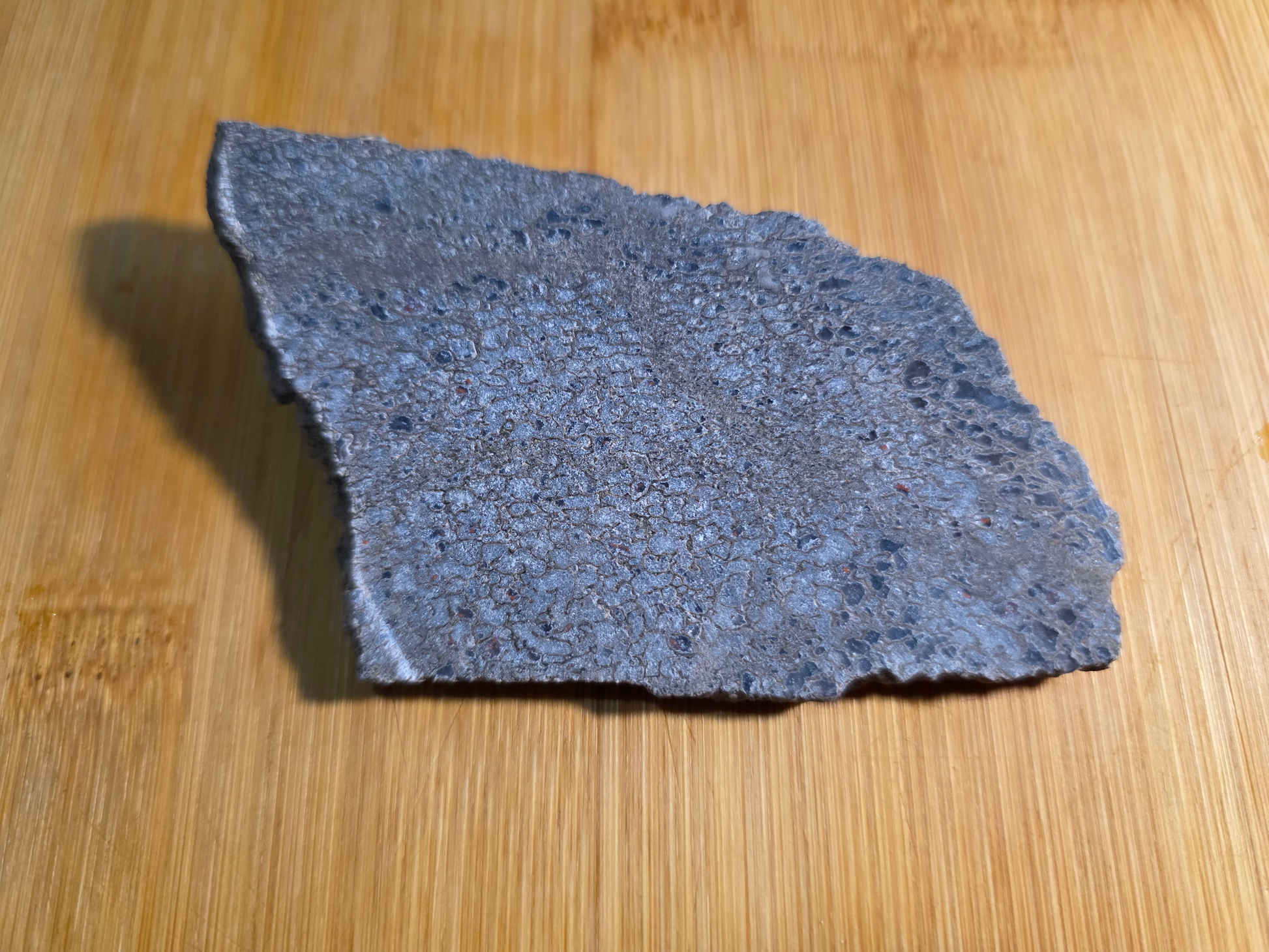 Dino Bone FS-x-00060
