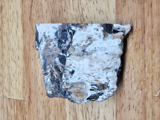 White Buffalo OT-x-00269