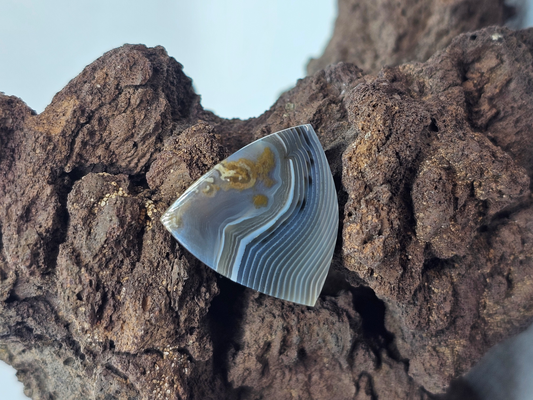 Timor Agate AG-x-x-00212