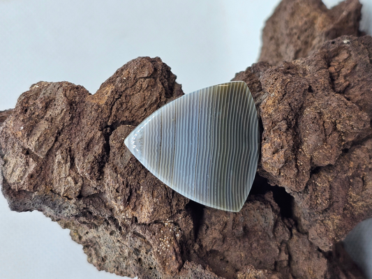 Timor Agate AG-x-x-00217