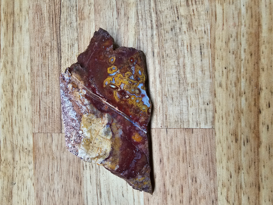 Indonesian Multi-colored Palm FS-x-00014