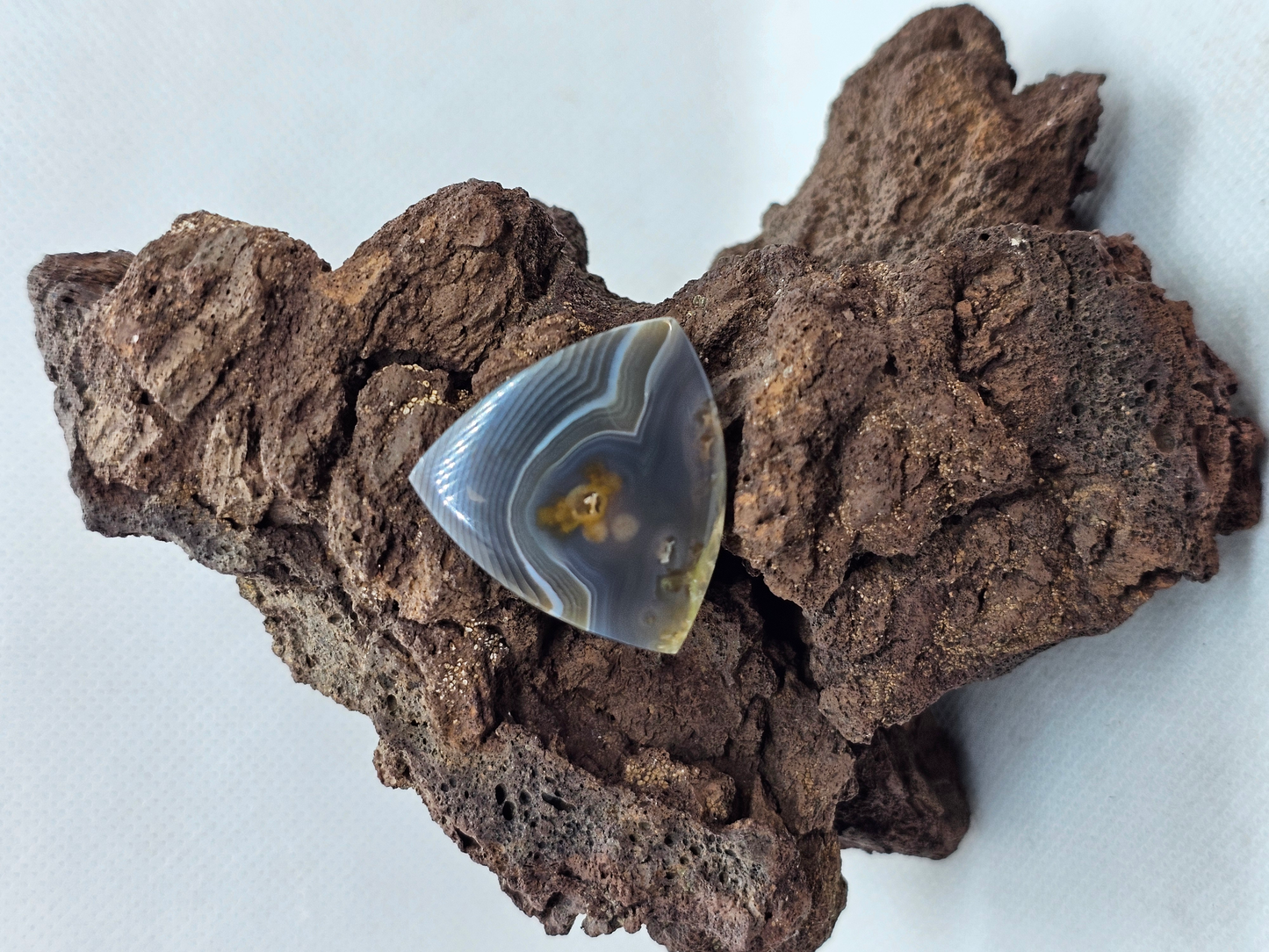 Timor Agate AG-x-x-00218